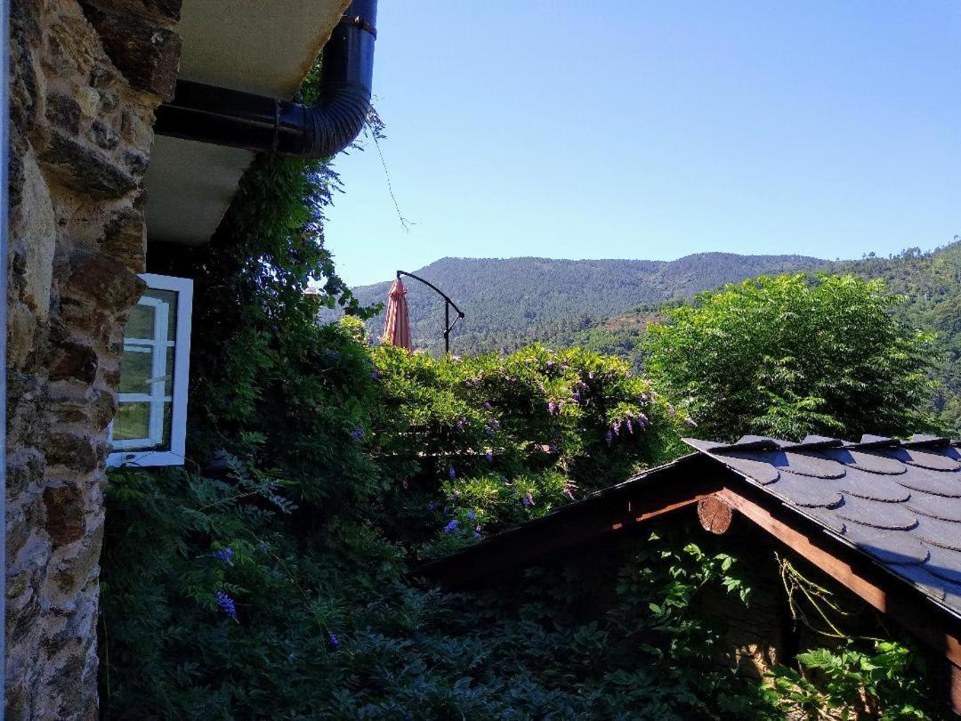 Ribera Sacra Villa Ferreira de Panton Bagian luar foto