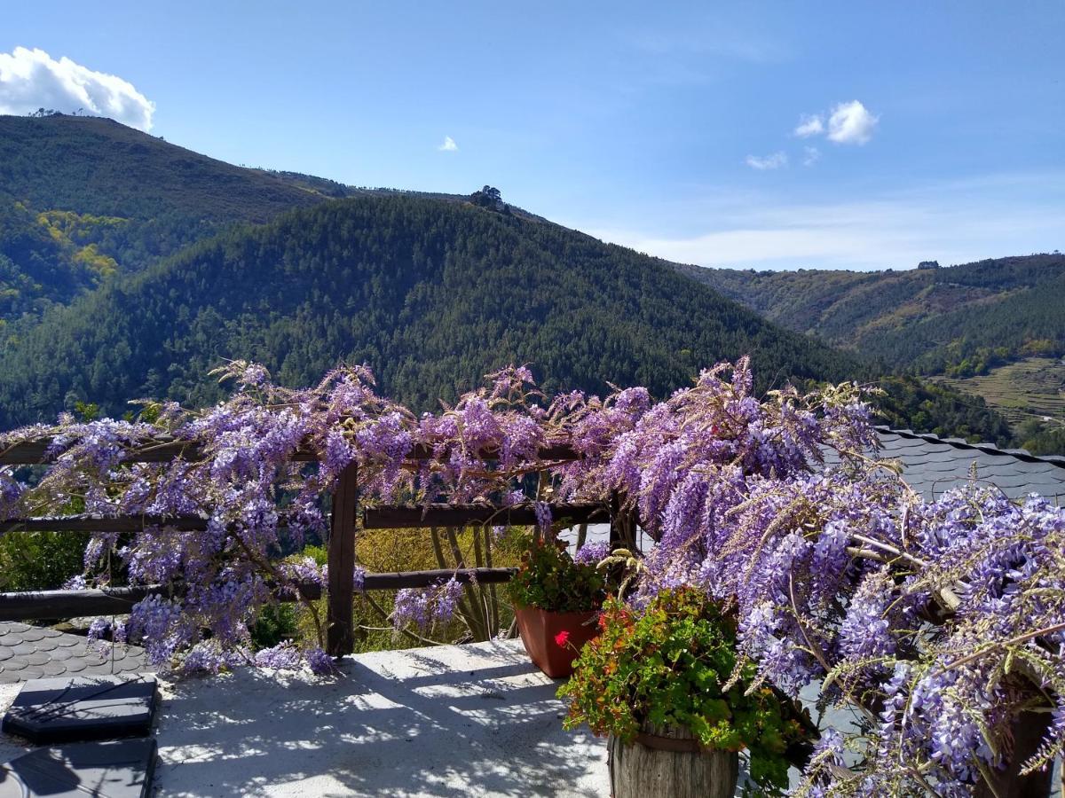 Ribera Sacra Villa Ferreira de Panton Bagian luar foto